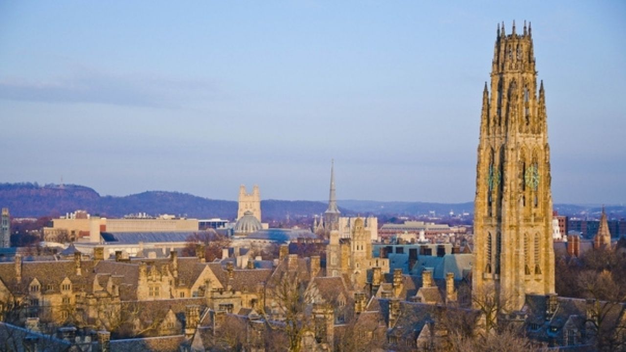 भारतीय गुलामों का क्या हुआ | Unveiling the Truth: American University's Connection to Indian Slavery